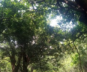 WhatsApp Image 2025-10-26 at 16.04.32