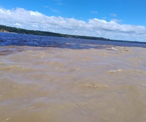 encontro-das-aguas-manaus (1)