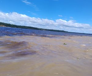 encontro-das-aguas-manaus (4)