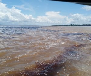 encontro-das-aguas-manaus (5)