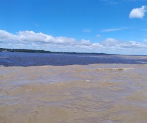 encontro-das-aguas-manaus (7)
