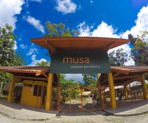 musa-museu-da-amazonia-28-640x480-1